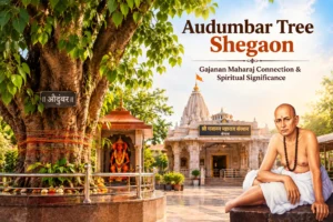 audumbar-tree-shegaon